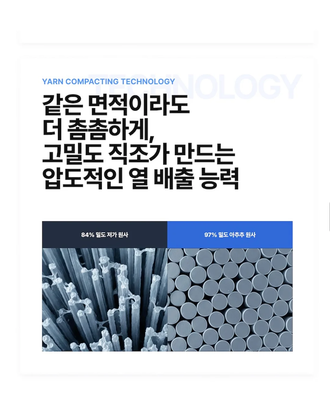 베리밸리 두리안 10