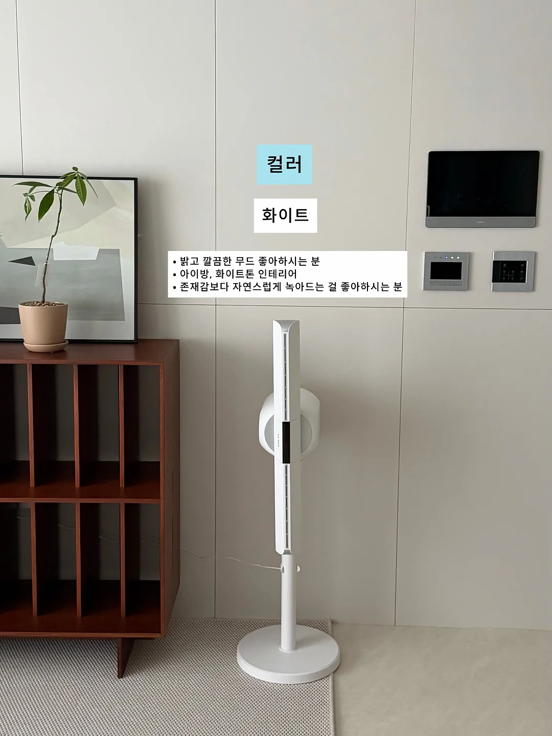 부월 Y롤러 미세전류 케어 9