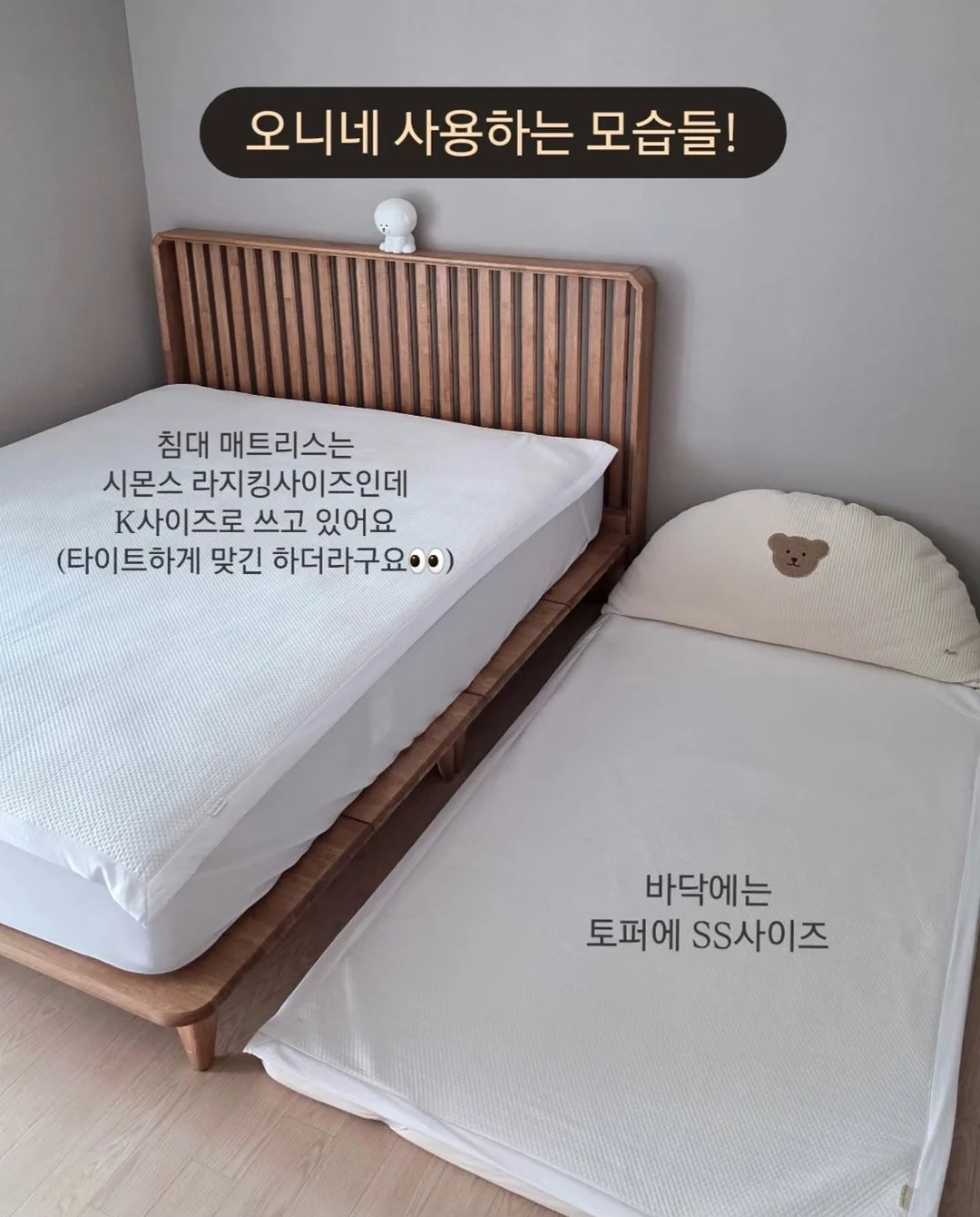 강아지 이동 가방 6