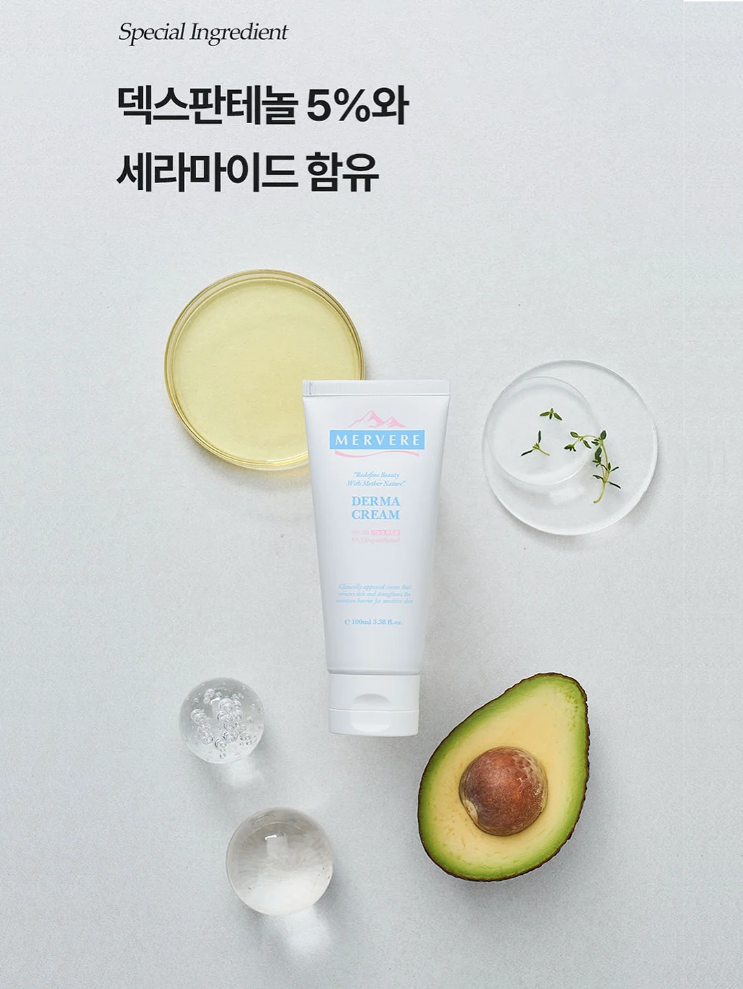피크닉 세트 대여 11