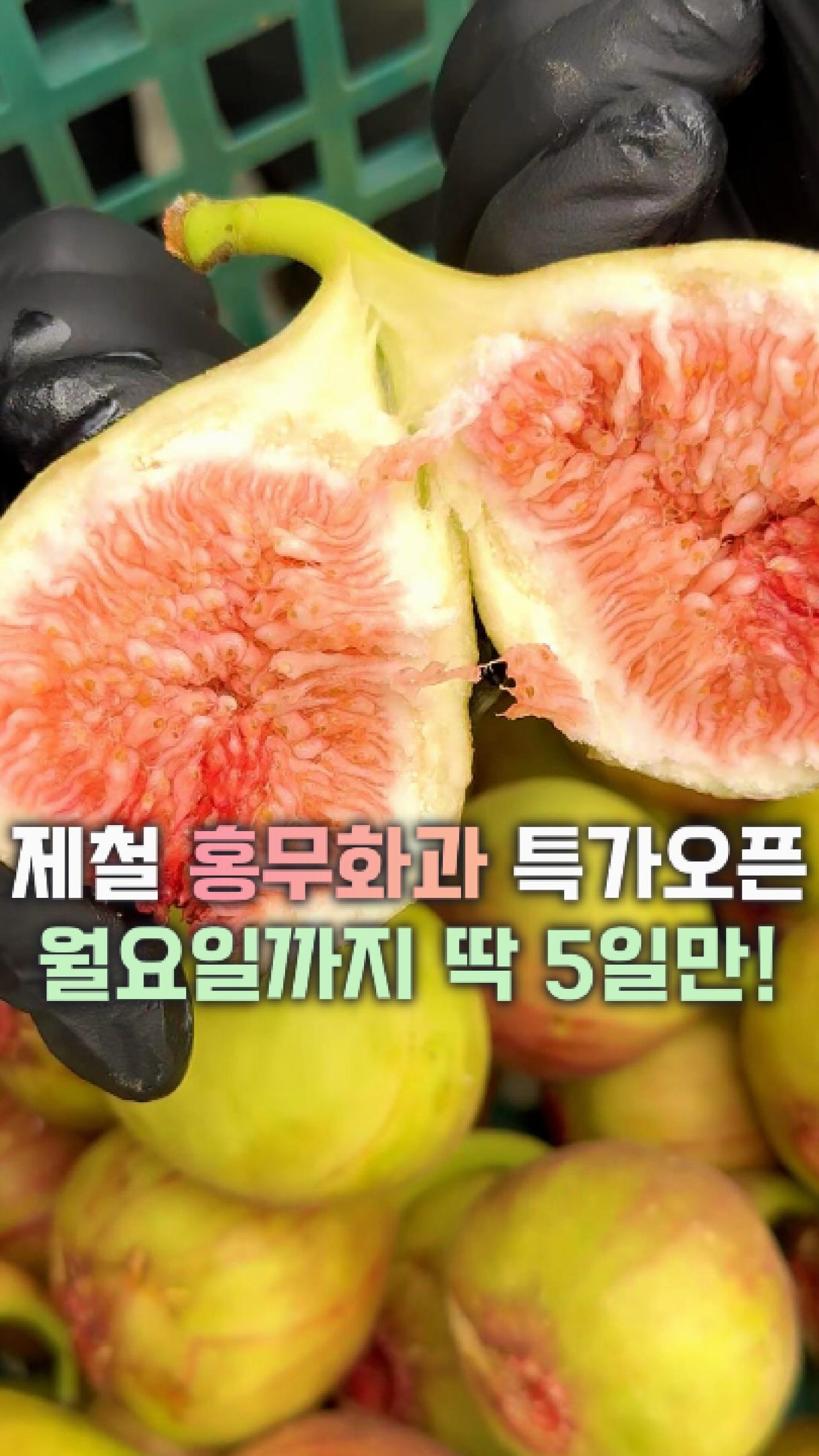 감자 오래 보관하는 꿀팁
