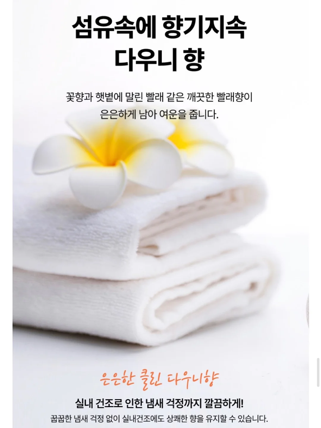 여름 재진행 품목 12