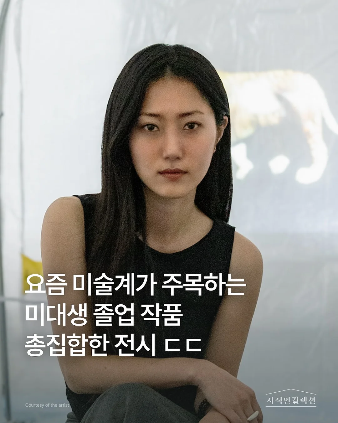 보로탈코크림 1