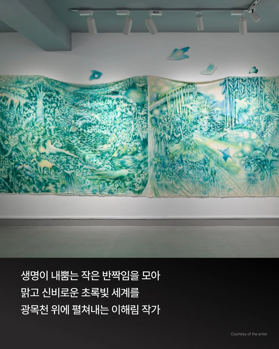 보로탈코크림 6