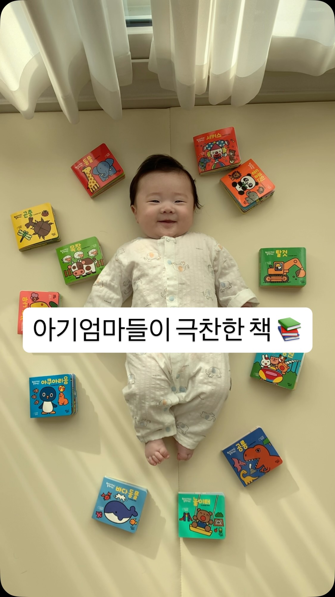 헤이지체크 남방