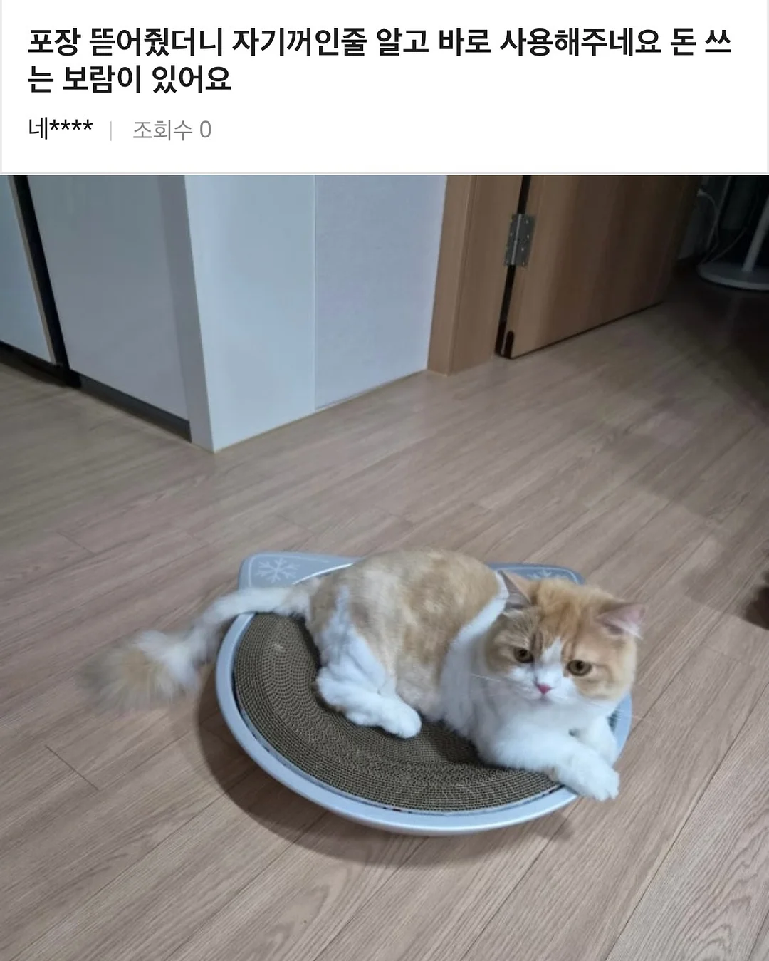 안멈추는 구조 11