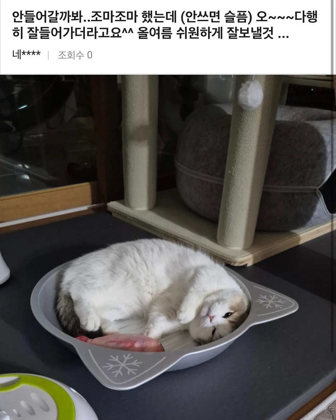 안멈추는 구조 13