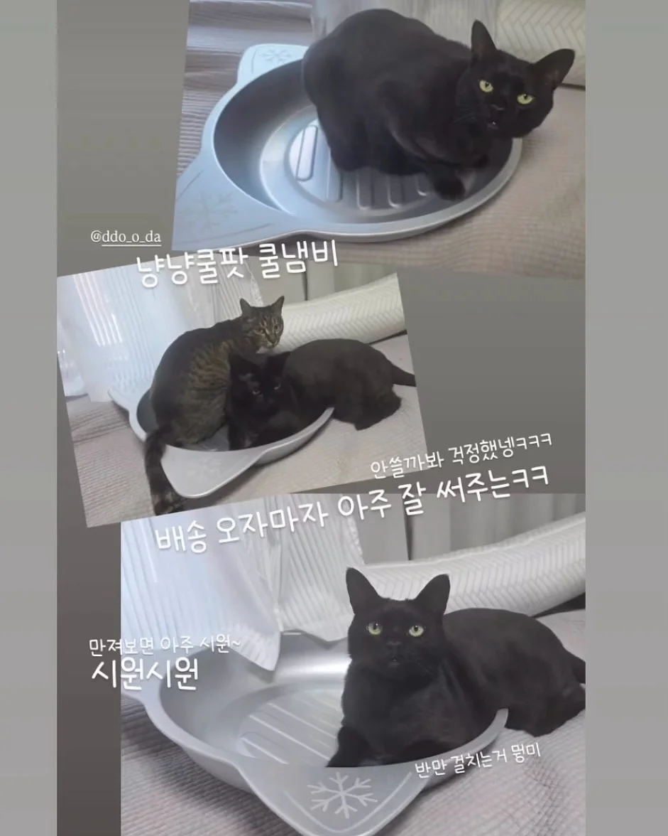 안멈추는 구조 8