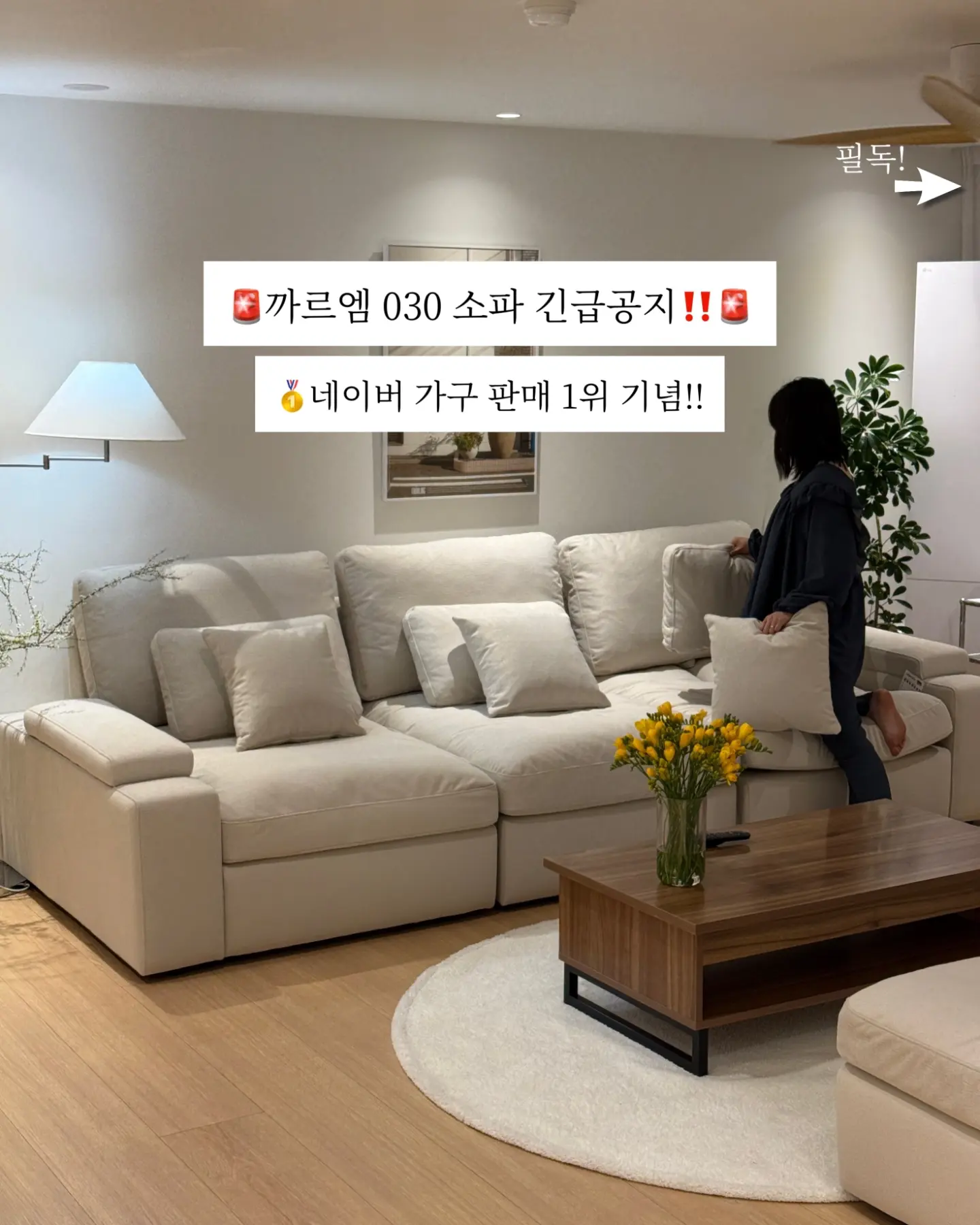 몰입형 번역 immersive translate 유료 프로 사용권 1