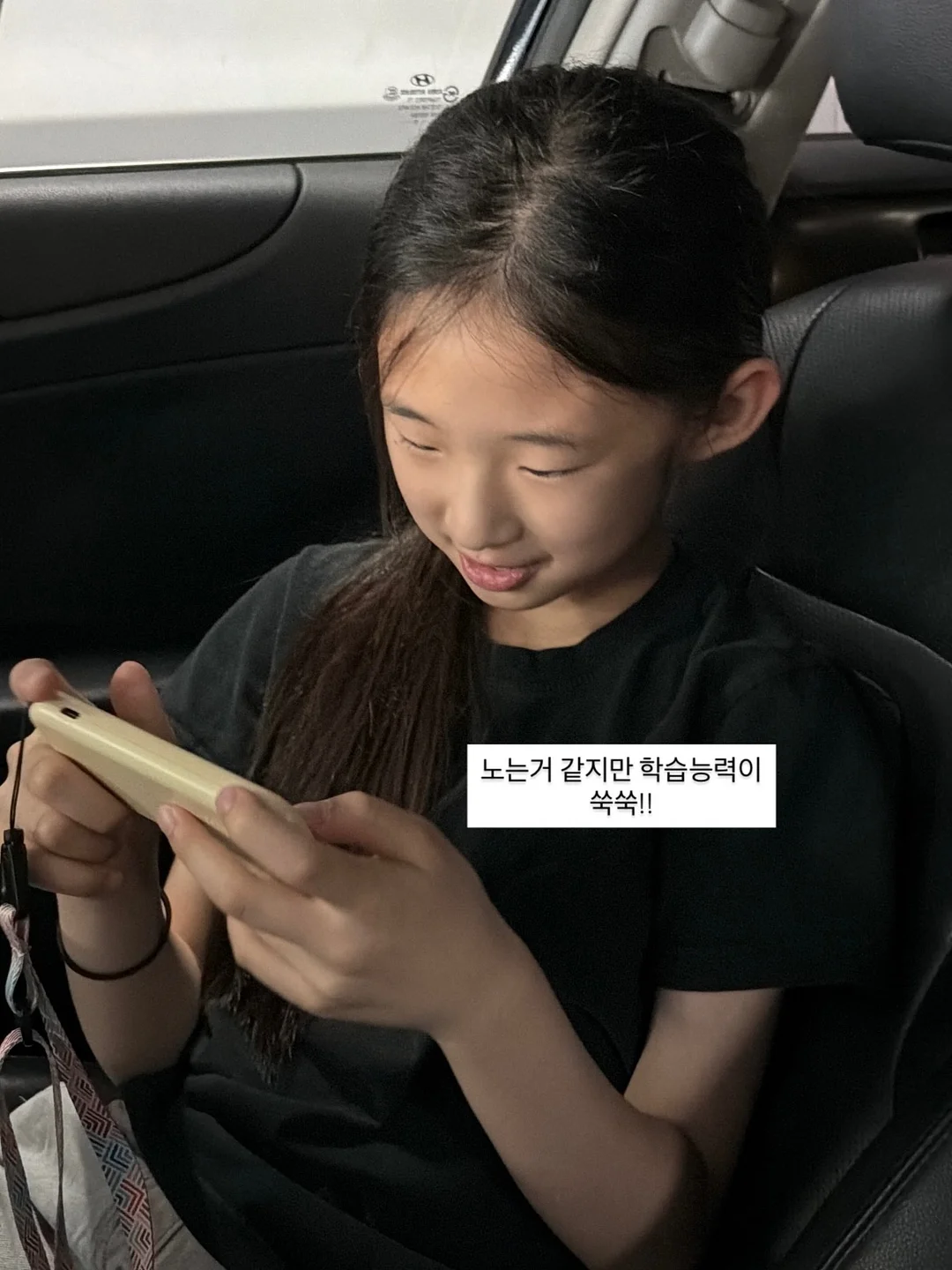펫테나 타이탄 대형견 유모차 5