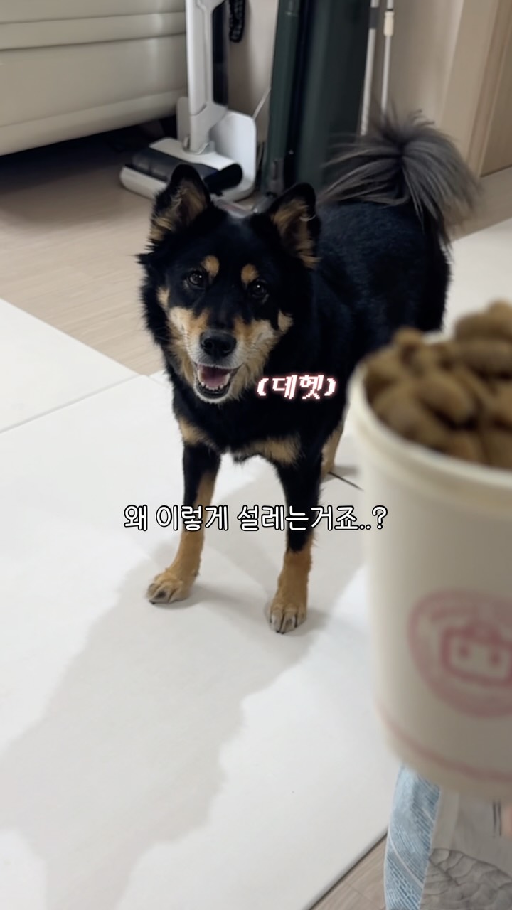 싱크대 식기세척기