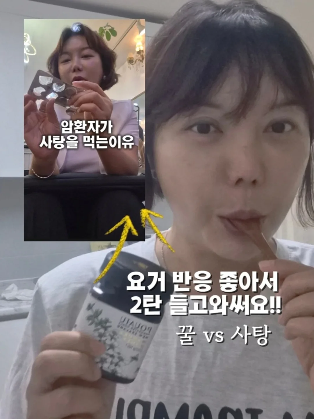 블랑가또 코끼리 인형 1