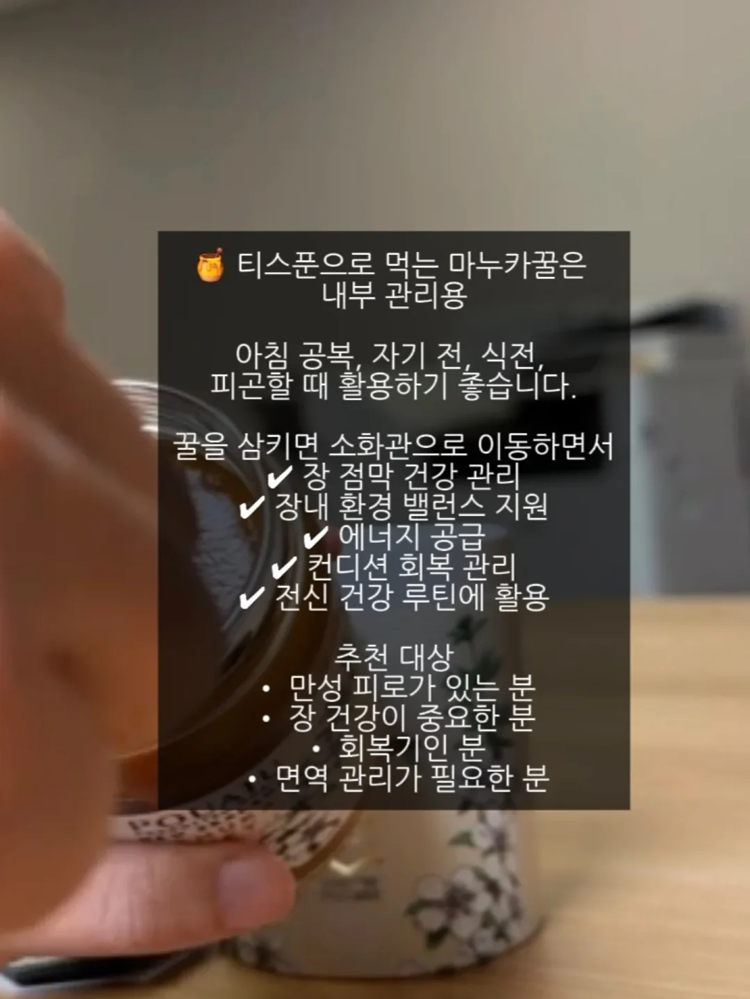 블랑가또 코끼리 인형 4