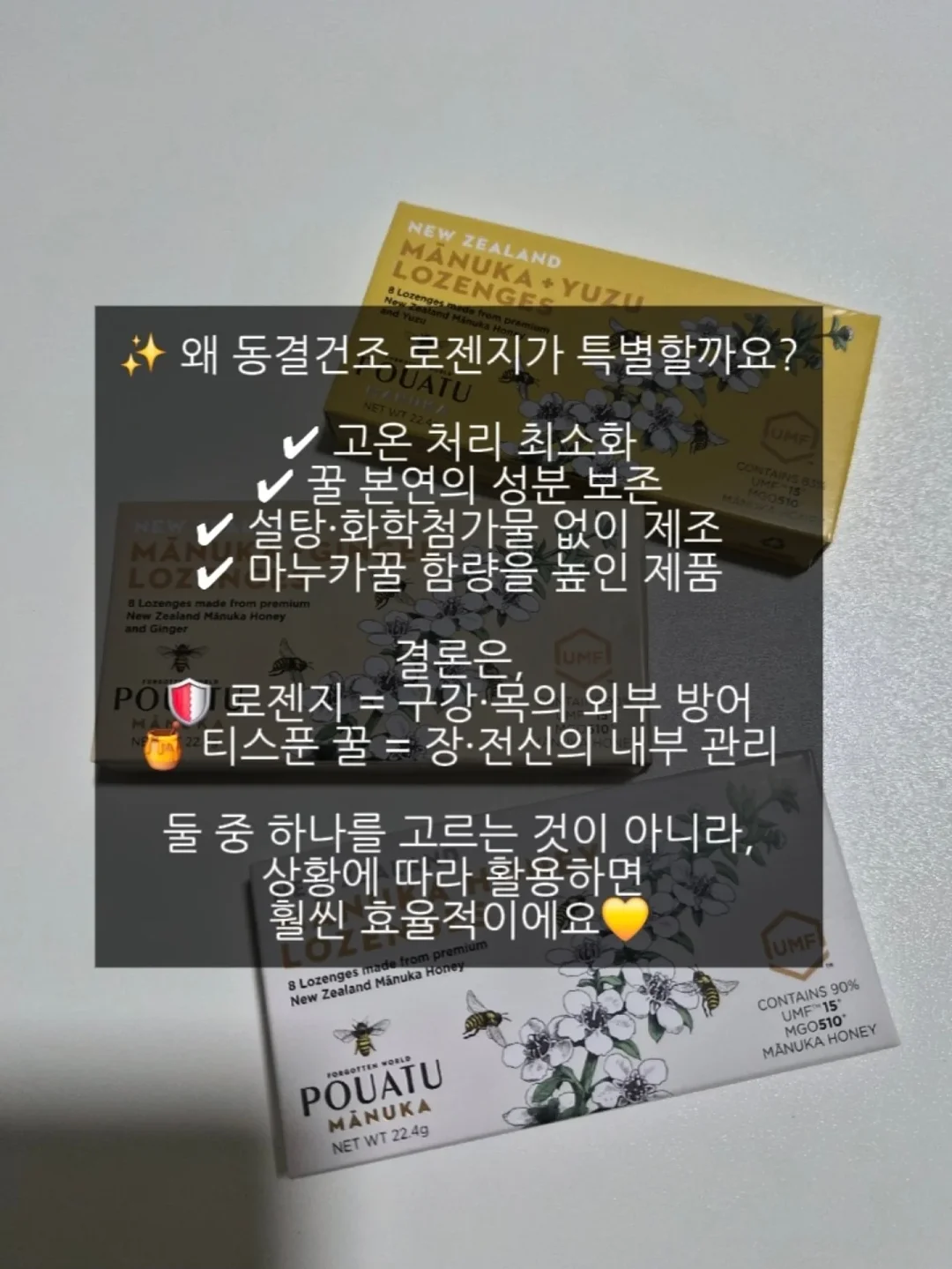 블랑가또 코끼리 인형 6