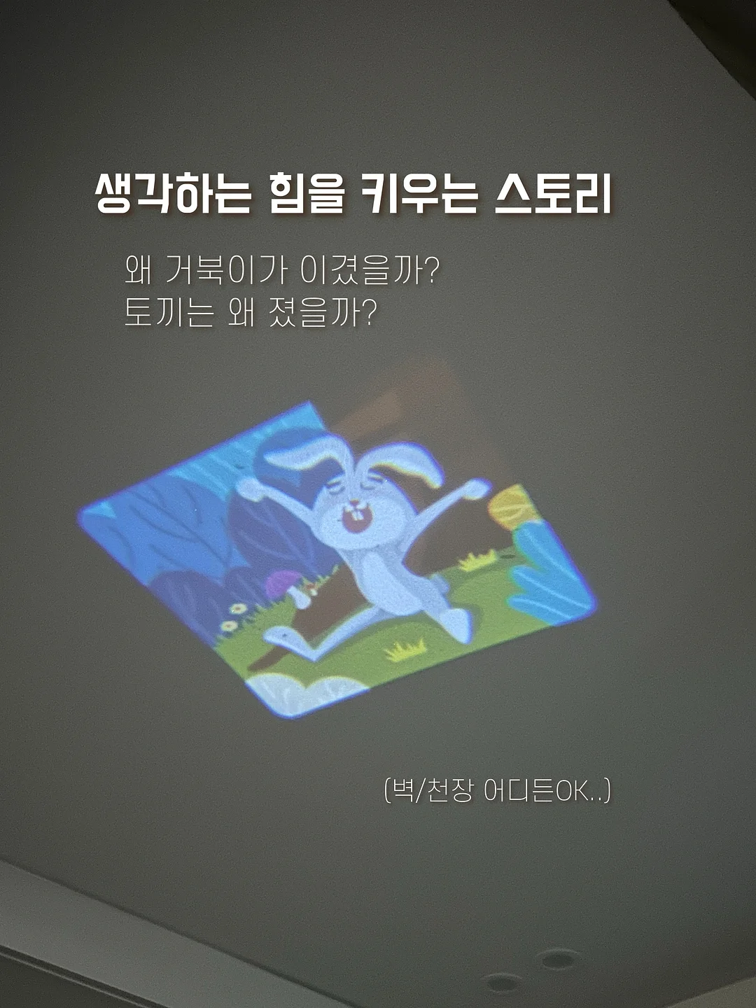 펀샤인 7