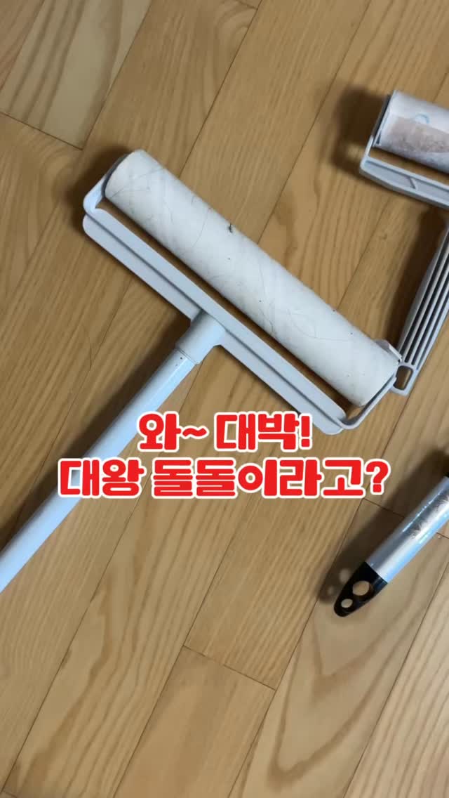 다용도 푸드 커버