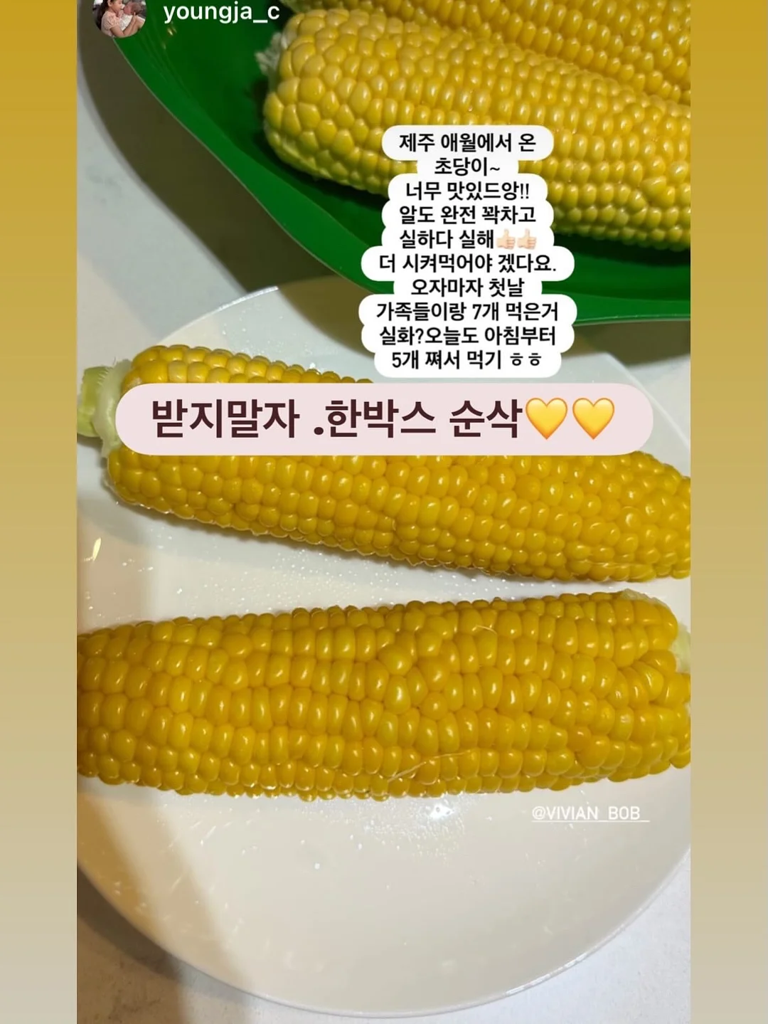 페이퍼 보타니 카라 니트 11