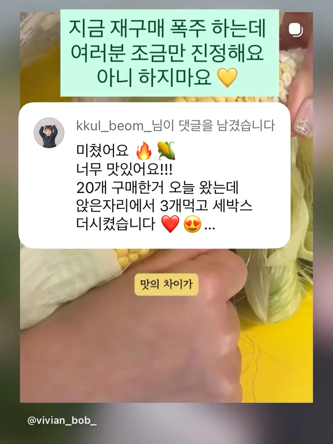 페이퍼 보타니 카라 니트 8