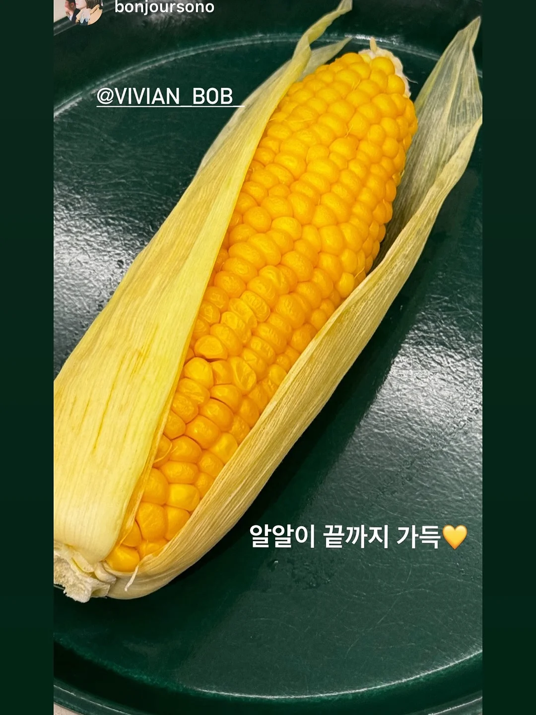페이퍼 보타니 카라 니트 9