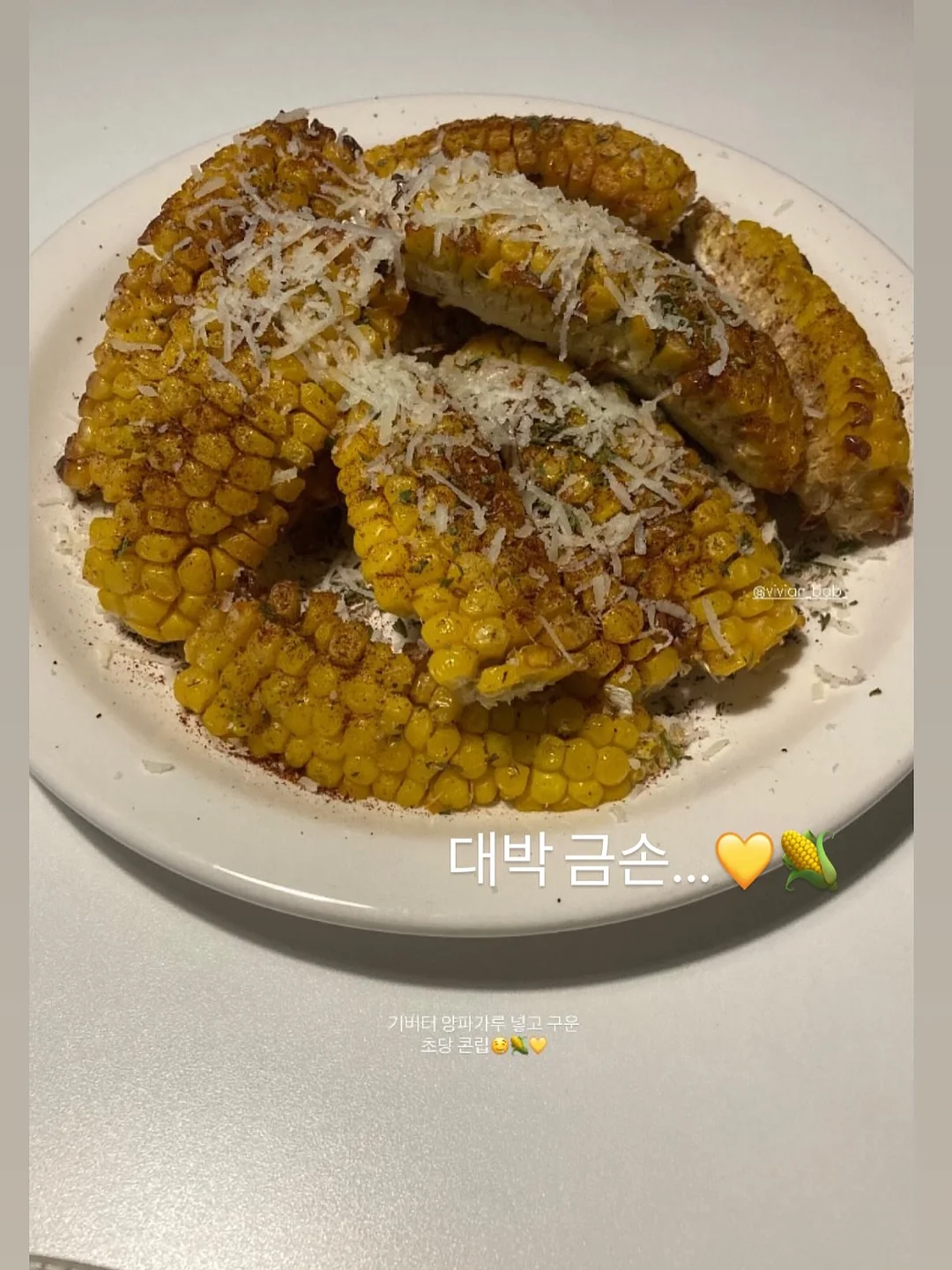 페이퍼 보타니 카라 니트 10