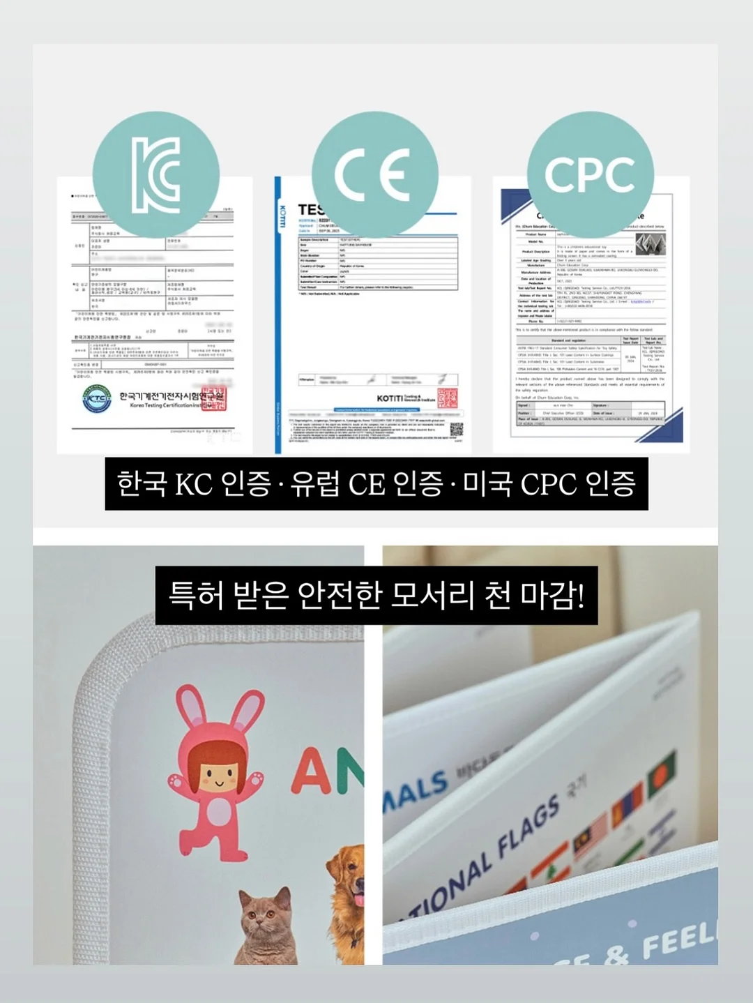 고유 19