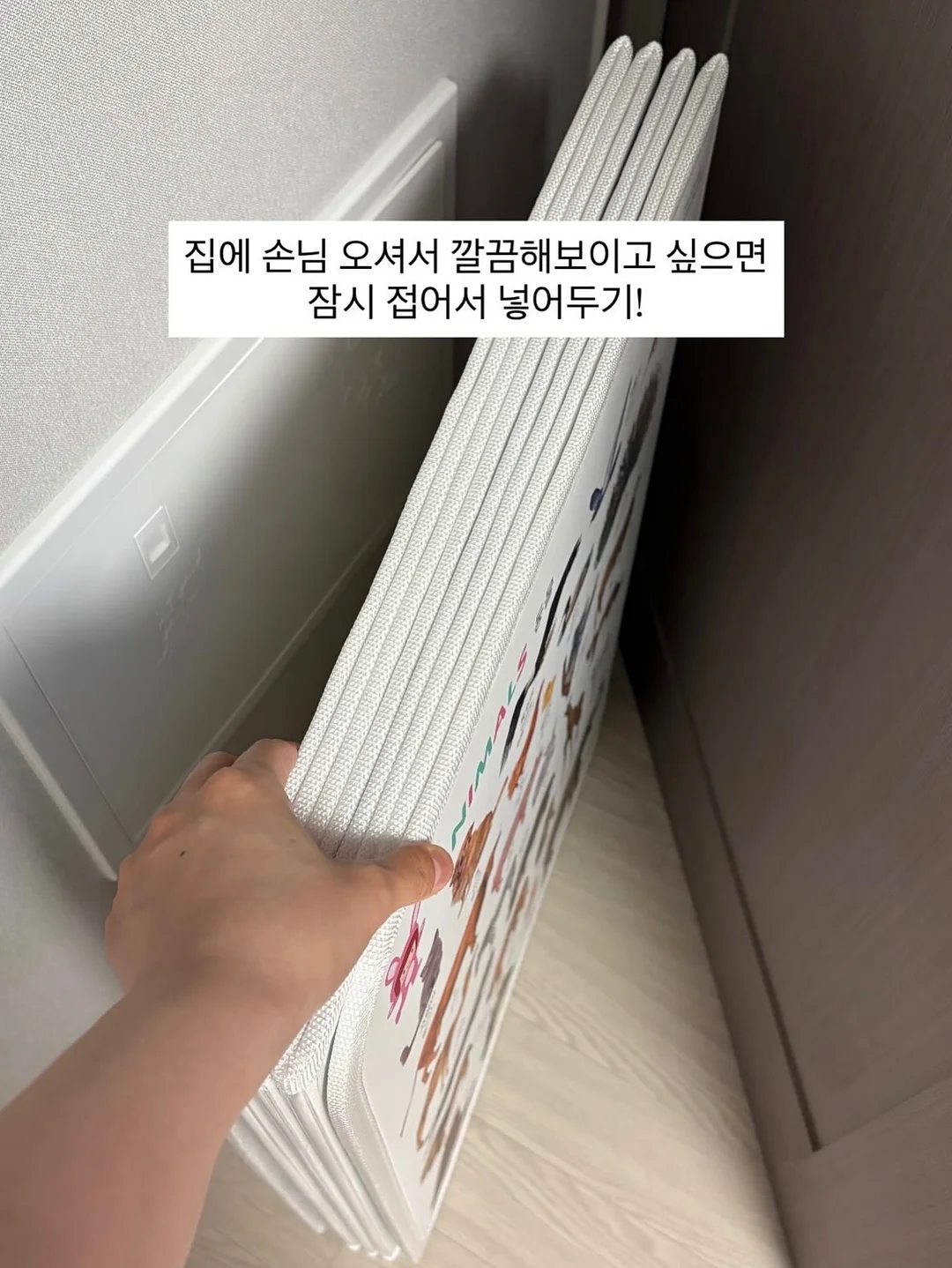 고유 20