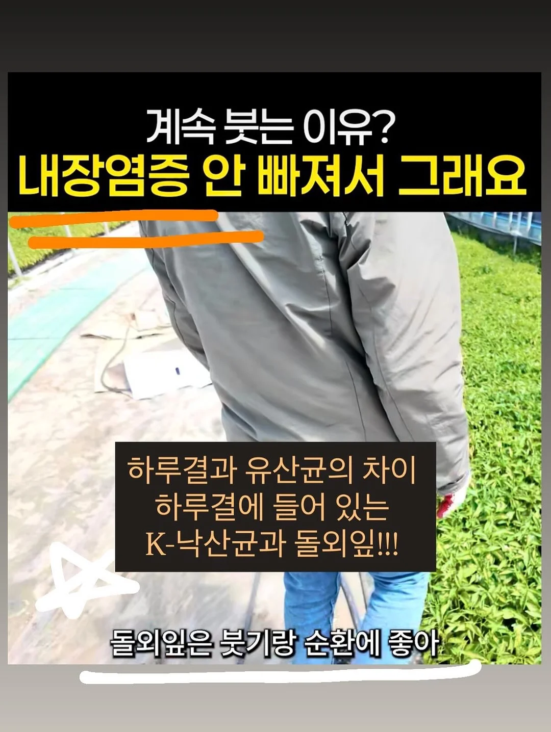여름 옷장마켓 5