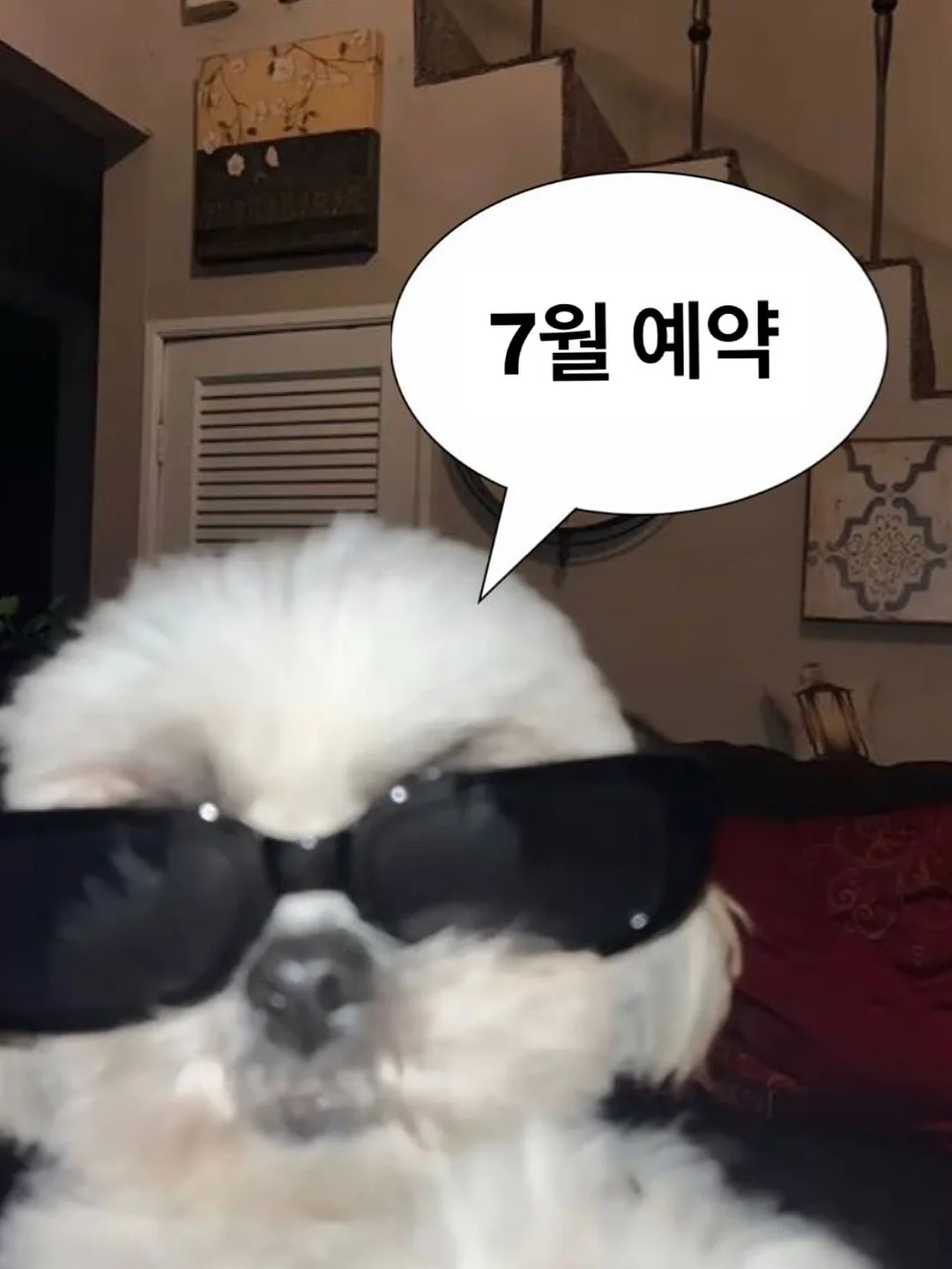 아줄렌 수더 겔