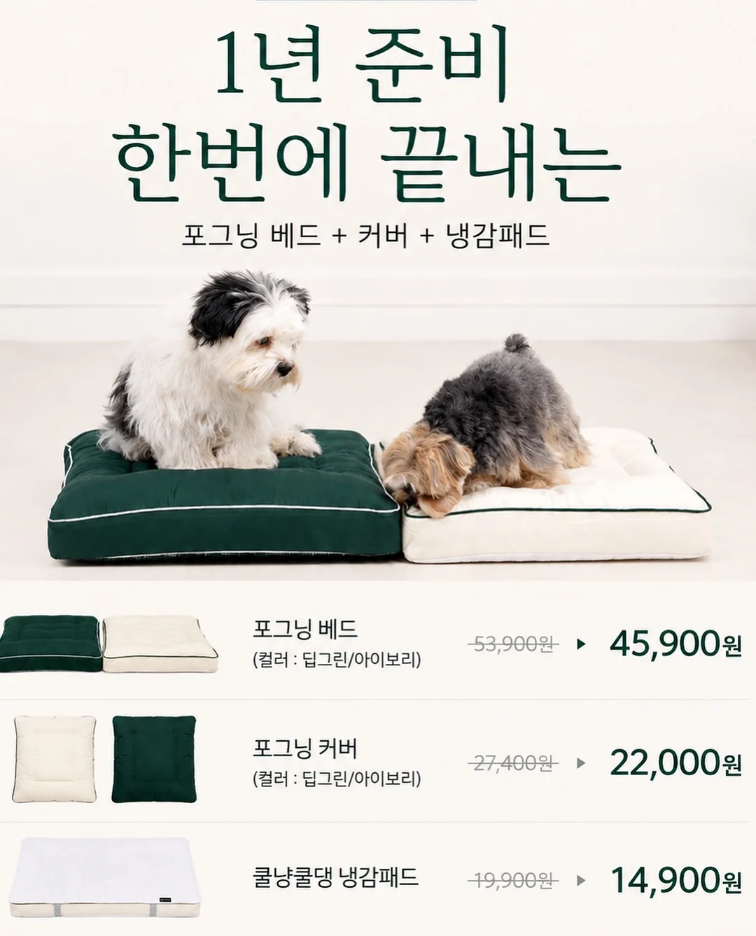 뚜레쥬르 반값 이벤트 2