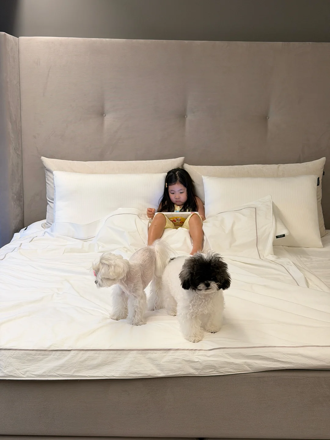 에어비앤비 숙소 운영 가이드 8