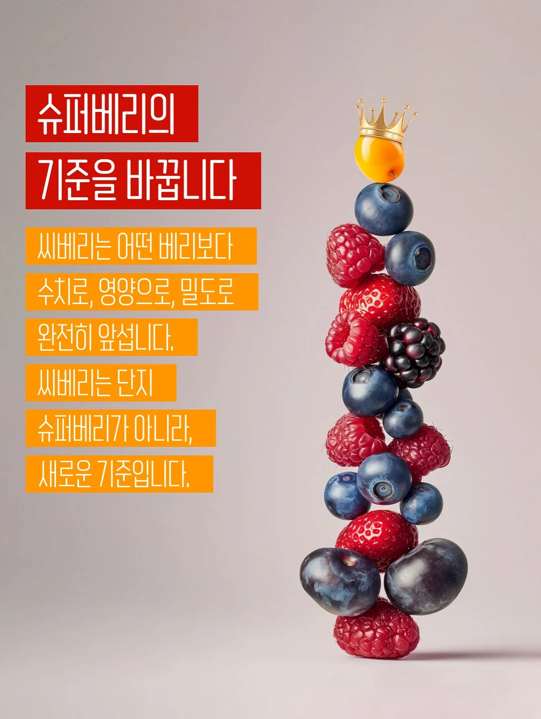 이계호 교수 슈퍼푸드 5