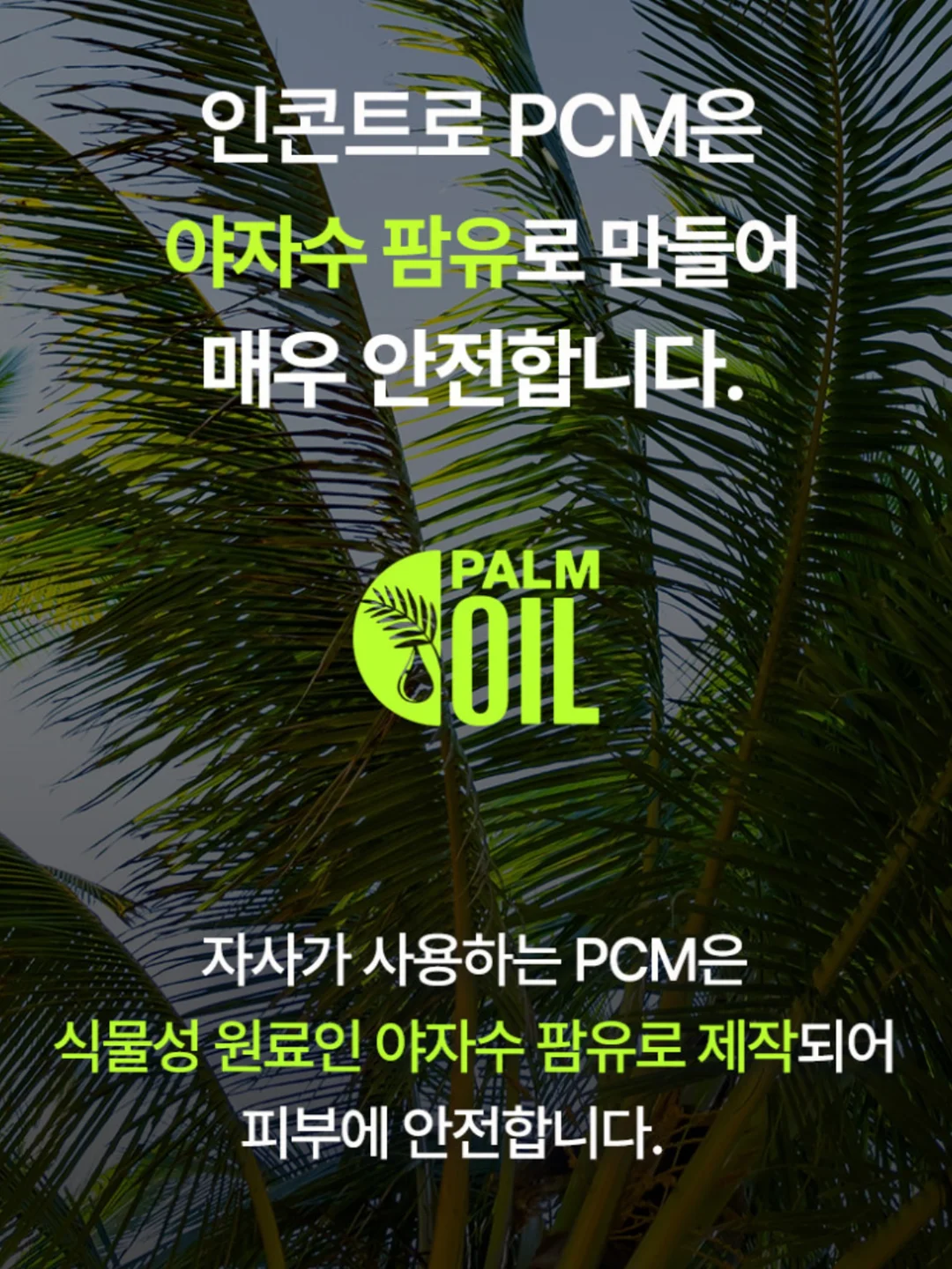 메이스윔슈트 15