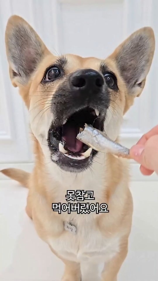 러베 무향 세탁세제