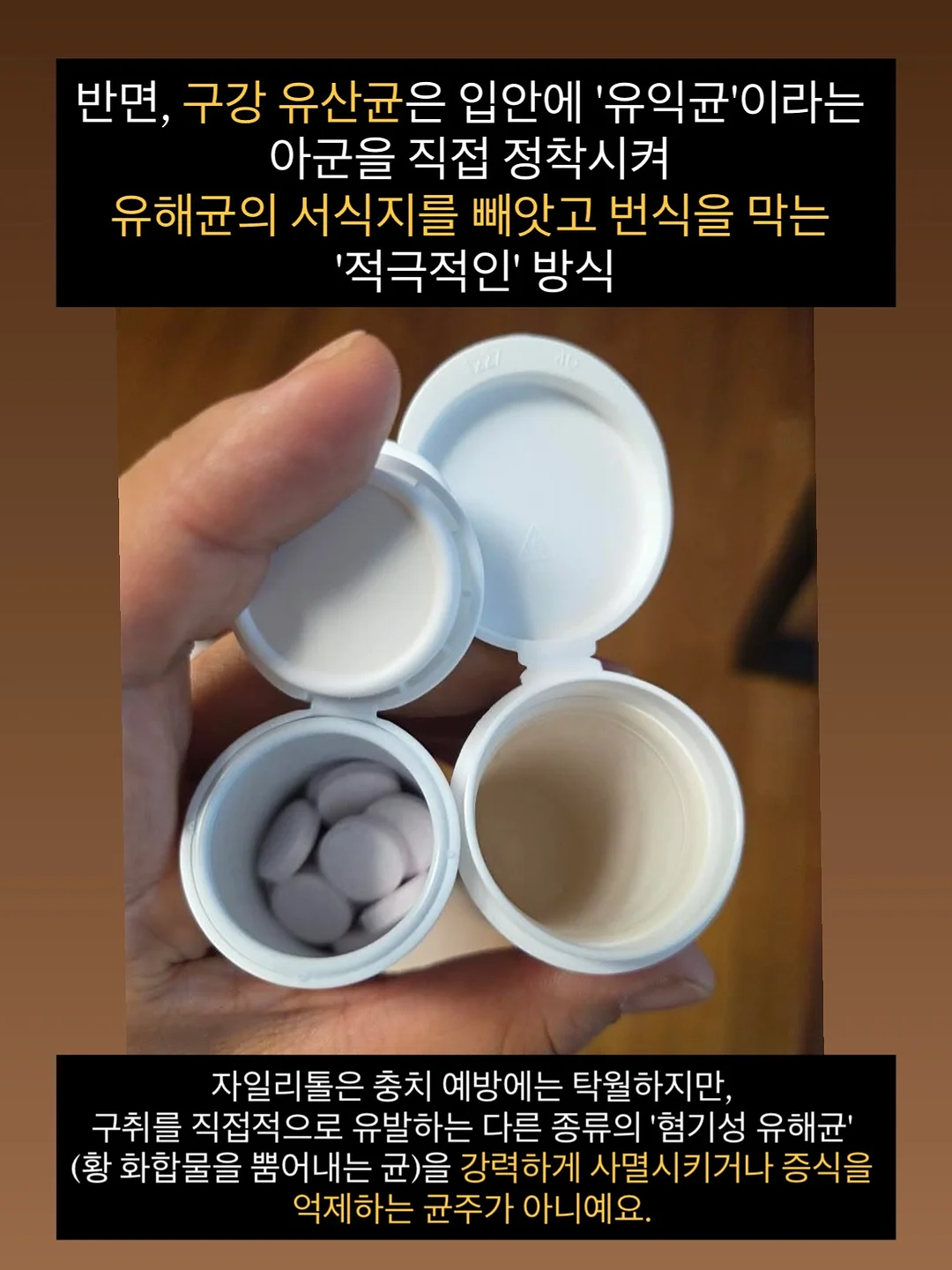 페넬로페 퀵퀵퀵 드라이 썸머 기저귀 5