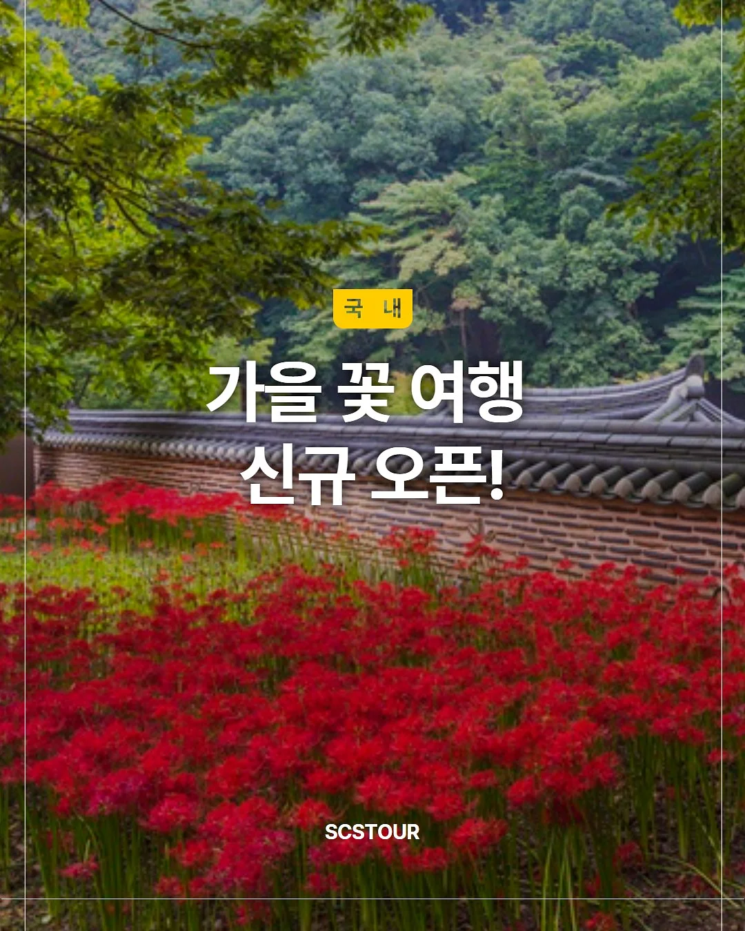 마스카라 1
