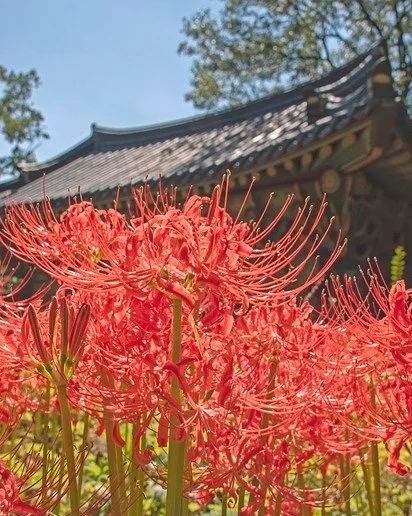 마스카라 2