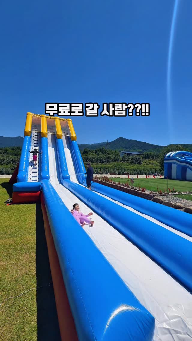 셋업