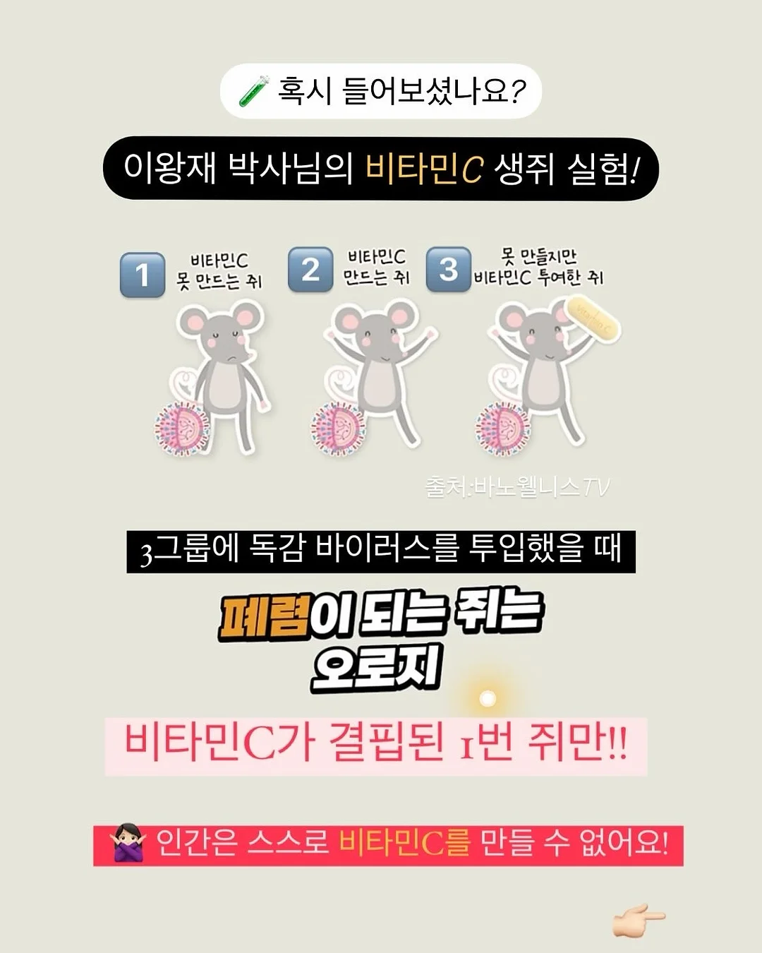 다마고치 샤카샤카 참 컬렉션 3탄 3