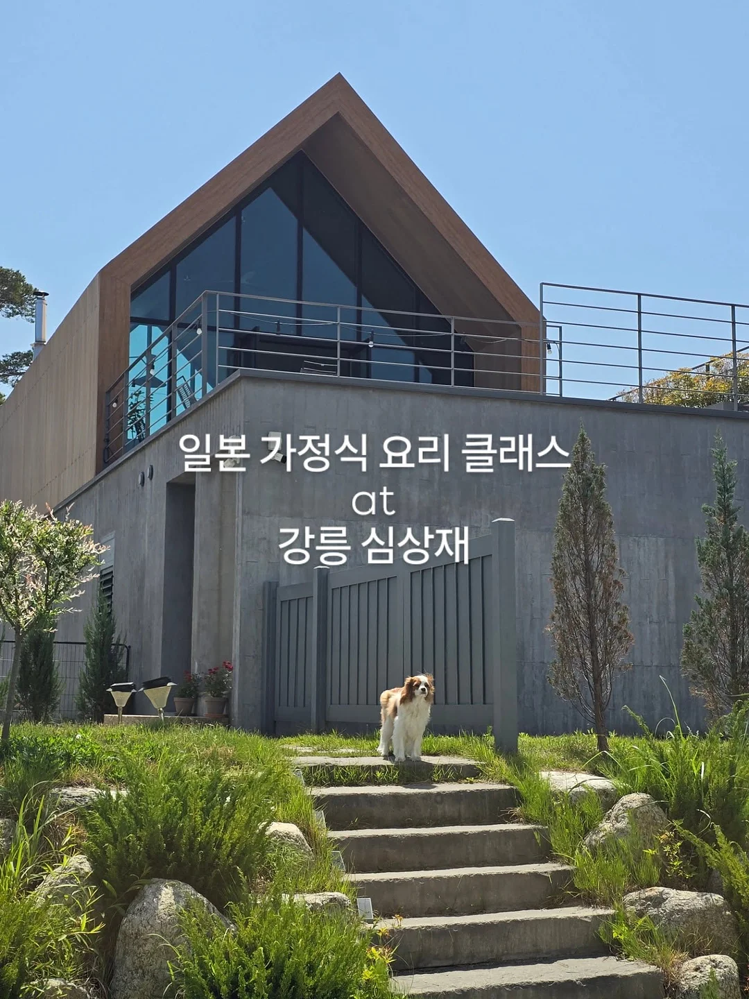 국밥 1