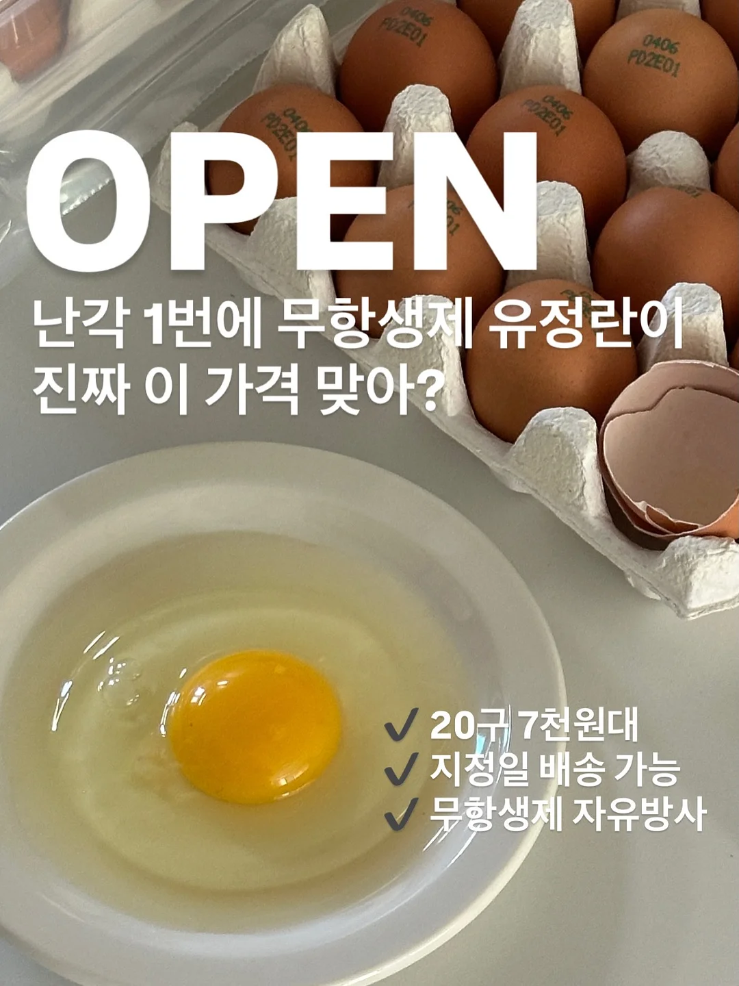 윙클set 1