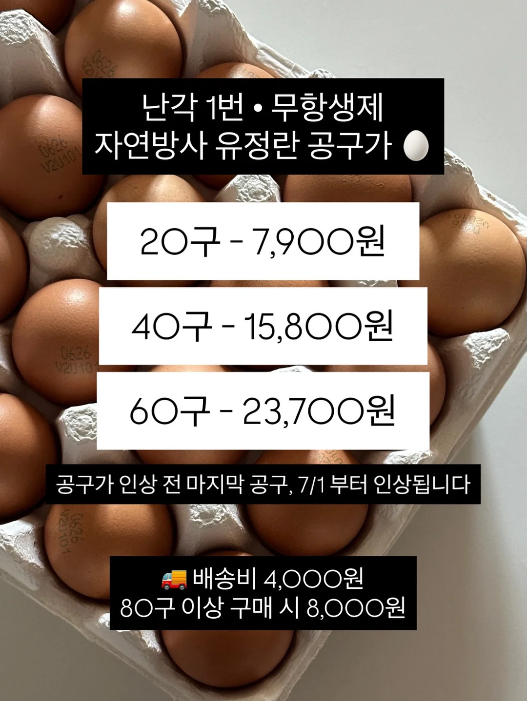 윙클set 11