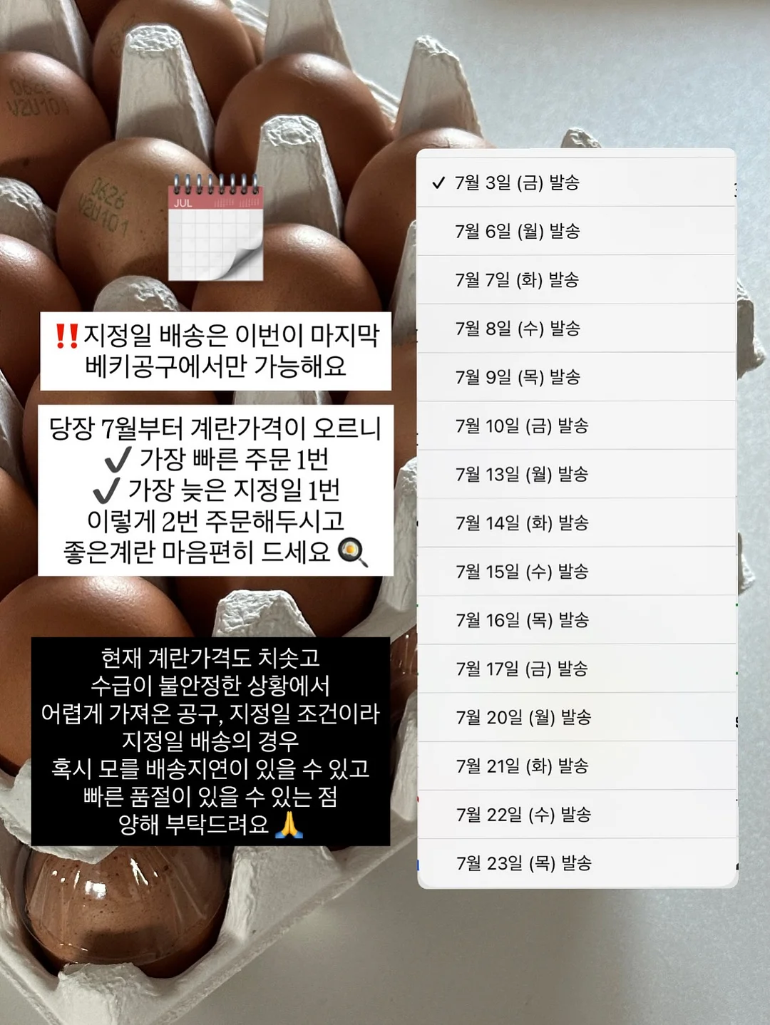 윙클set 12