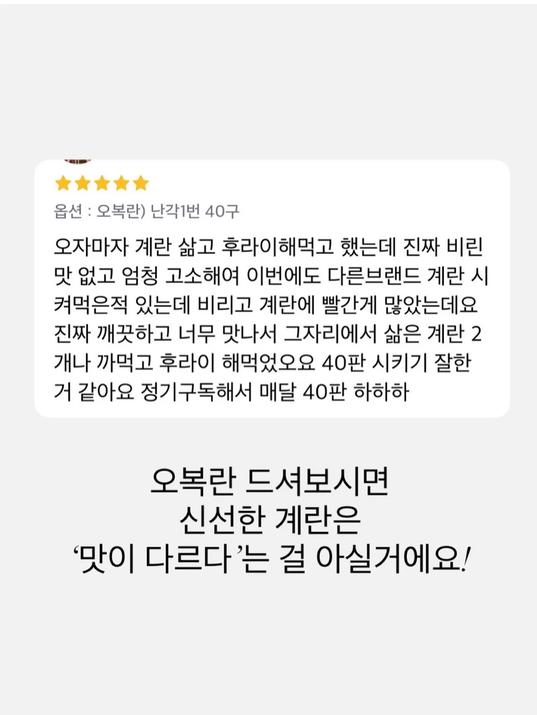 윙클set 15