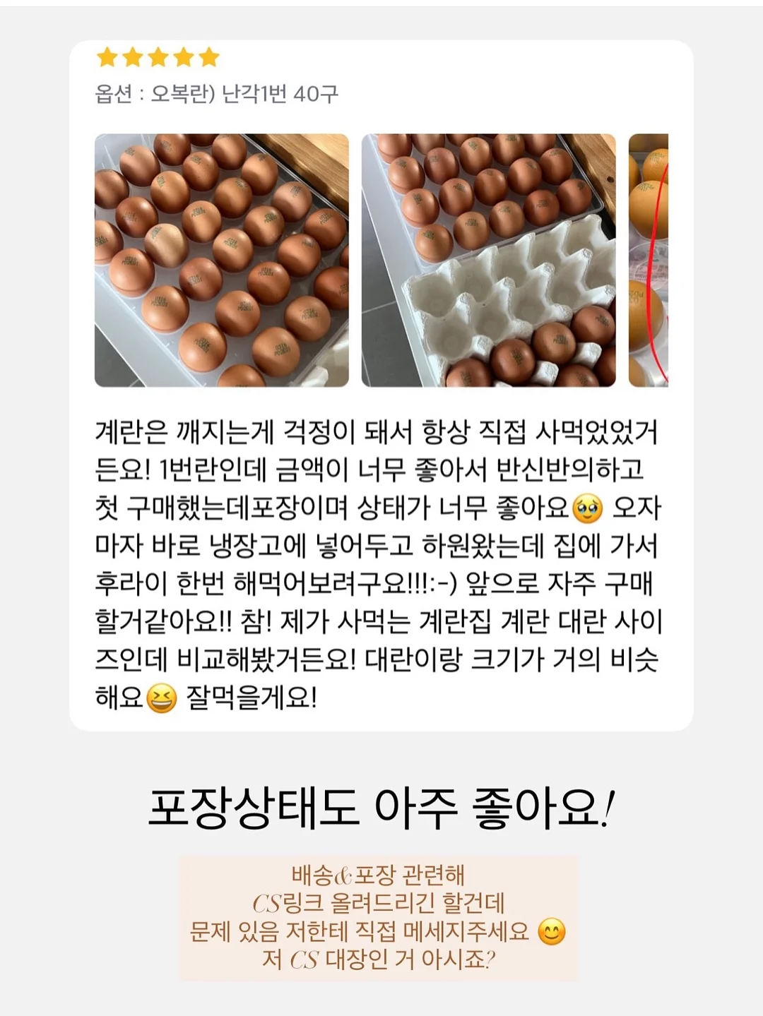 윙클set 16
