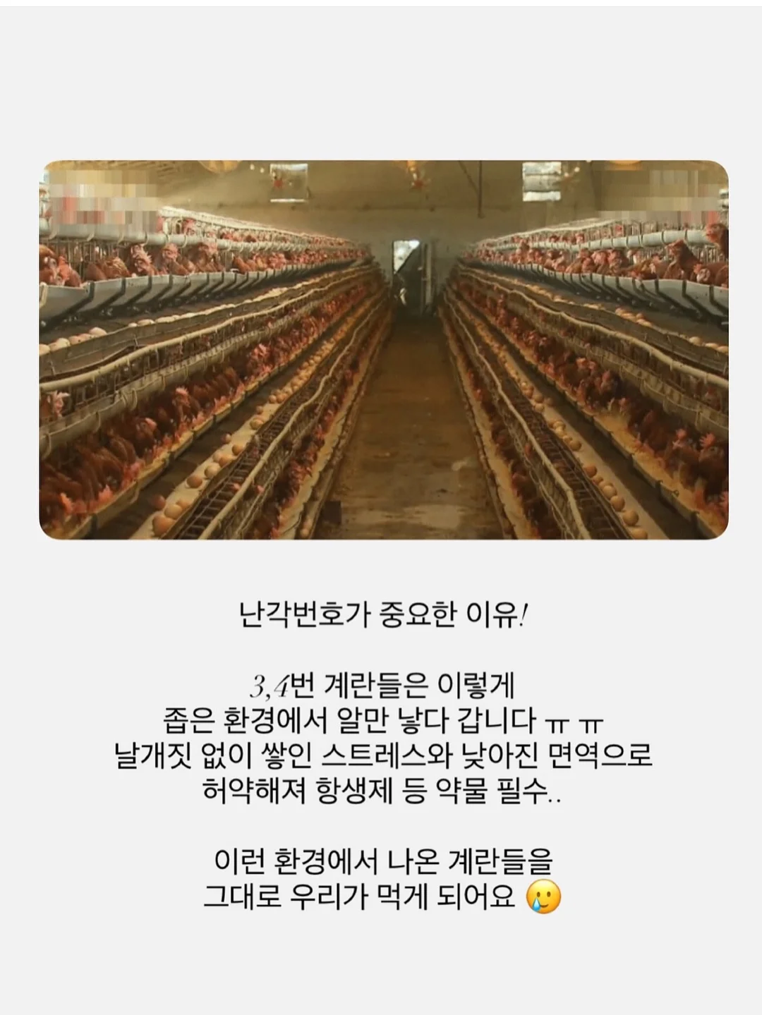 윙클set 5