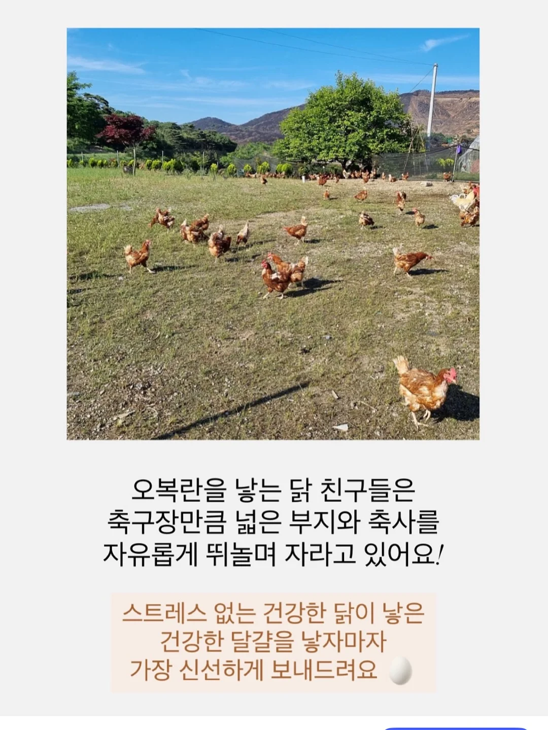 윙클set 6