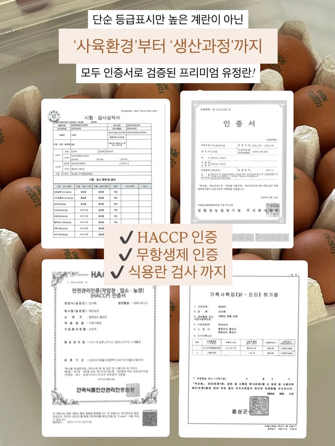 윙클set 7