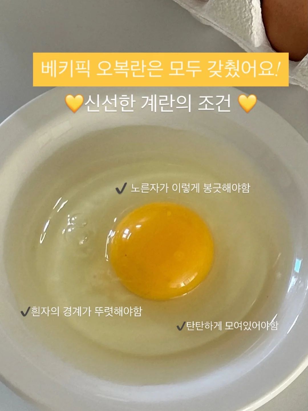 윙클set 8