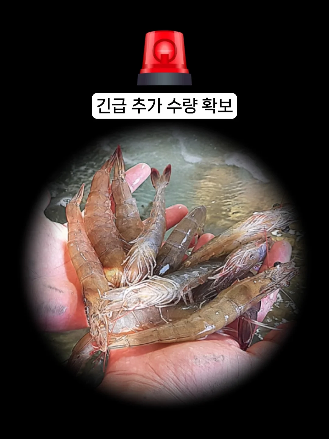 안 터지는 비눗방울 탁구 세트