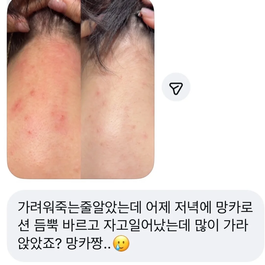 자석젤 그라 4